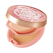 Q10モイスチュアケア パウダリーファンデーションEX