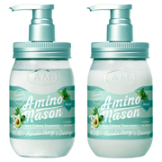 アミノメイソン モイスト シャンプー＆トリートメント ミント限定キット2019