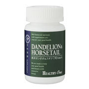 ダンデライオン＆ホーステイル